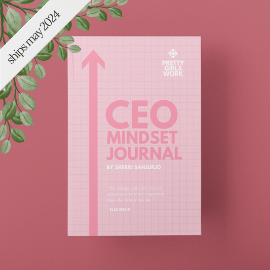 The CEO Mindset Journal